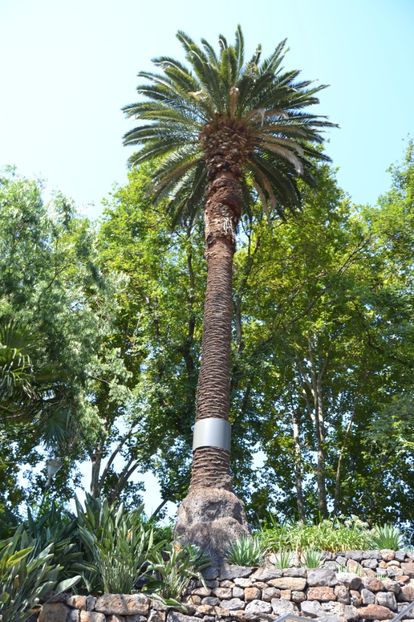  - Melbourne oras si Gradina Botanica Regala