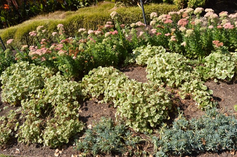  - Melbourne oras si Gradina Botanica Regala