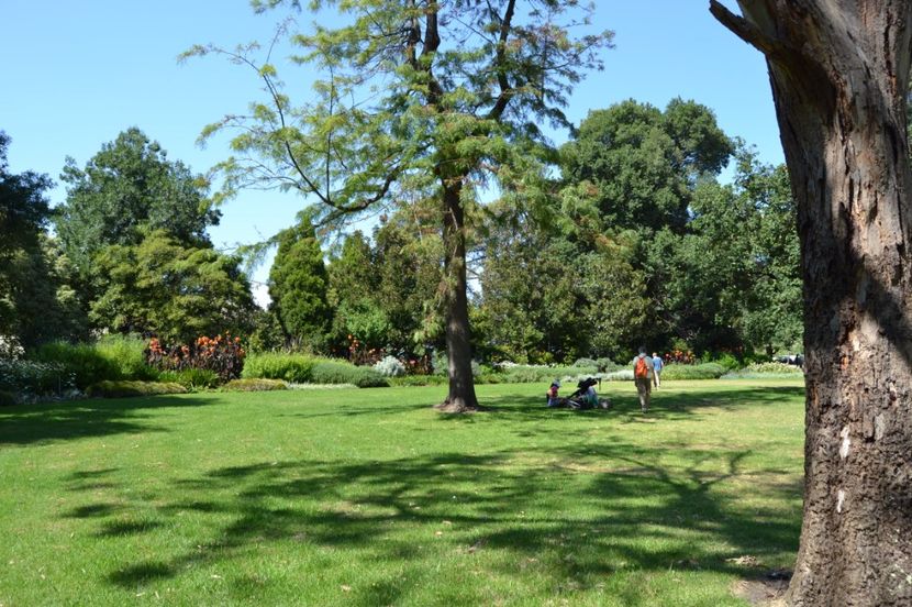  - Melbourne oras si Gradina Botanica Regala