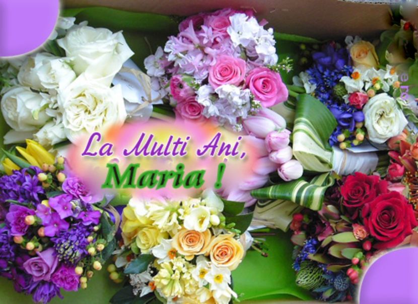 MARIA - Felicitari pentru diverse zile
