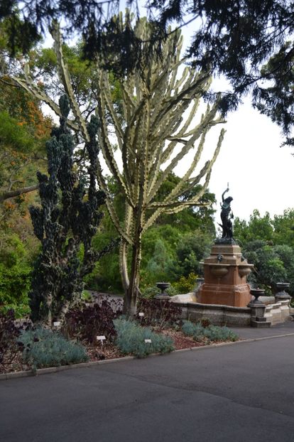  - Royal Botanic Gardens Sydney