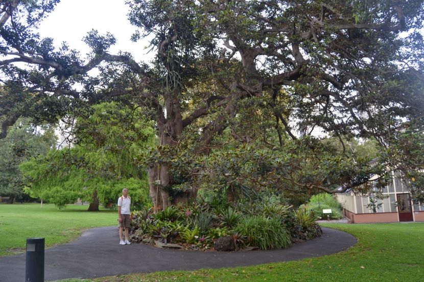  - Royal Botanic Gardens Sydney