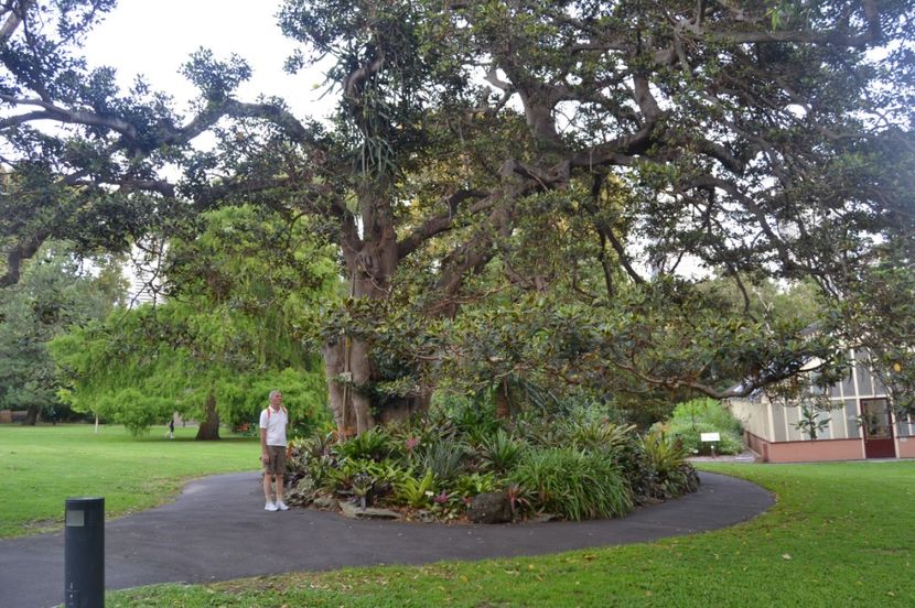  - Royal Botanic Gardens Sydney
