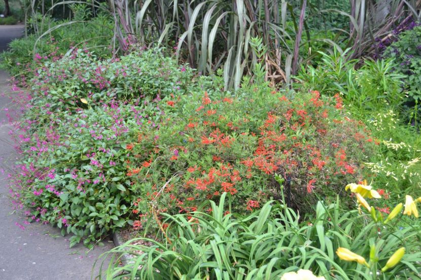  - Royal Botanic Gardens Sydney