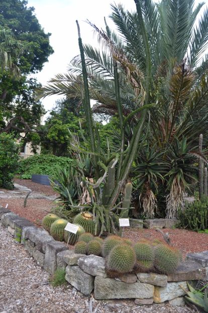  - Royal Botanic Gardens Sydney