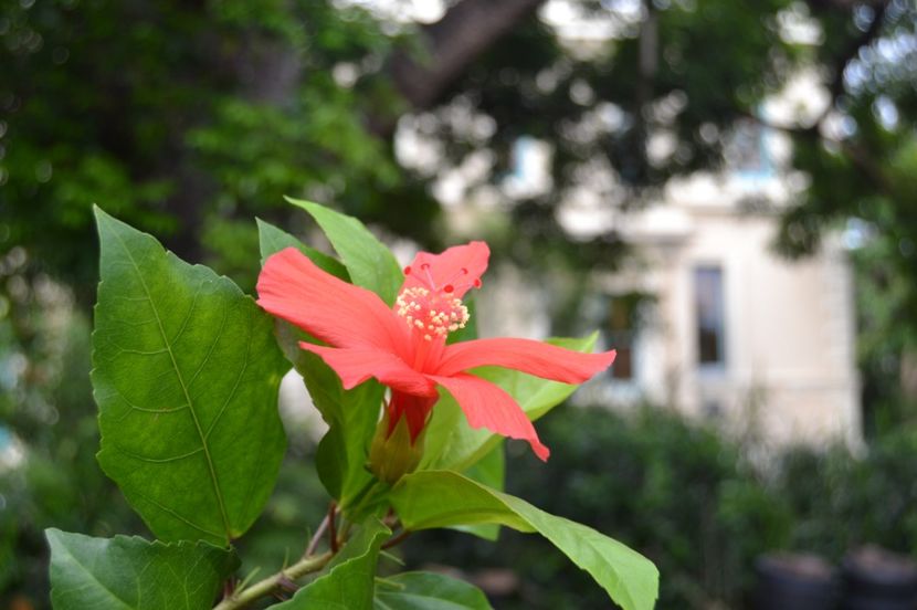  - Royal Botanic Gardens Sydney