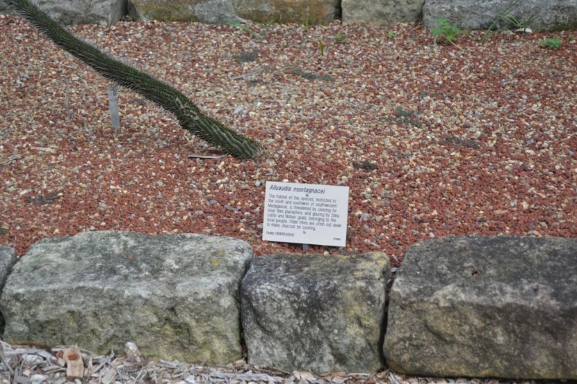  - Royal Botanic Gardens Sydney