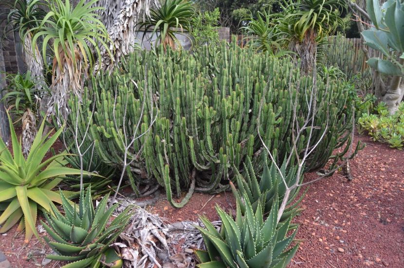  - Royal Botanic Gardens Sydney