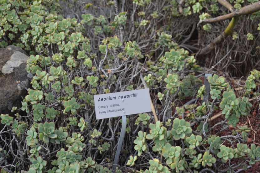  - Royal Botanic Gardens Sydney