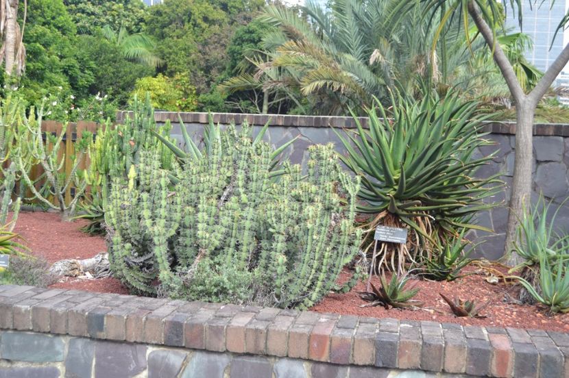  - Royal Botanic Gardens Sydney