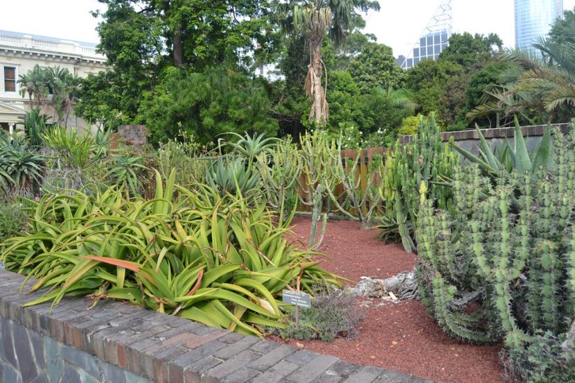  - Royal Botanic Gardens Sydney