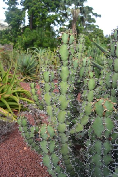  - Royal Botanic Gardens Sydney