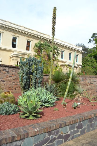  - Royal Botanic Gardens Sydney