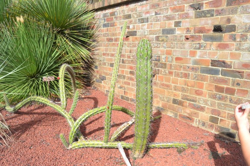  - Royal Botanic Gardens Sydney