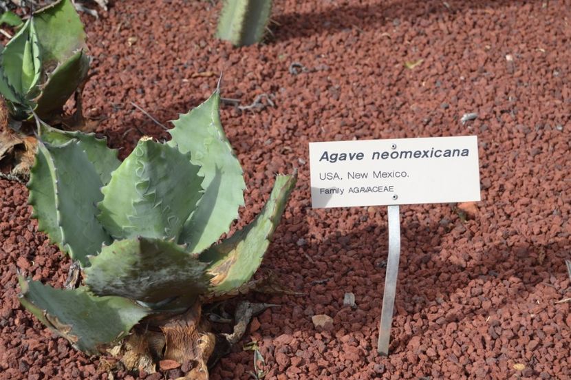  - Royal Botanic Gardens Sydney