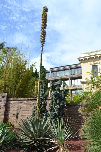  - Royal Botanic Gardens Sydney