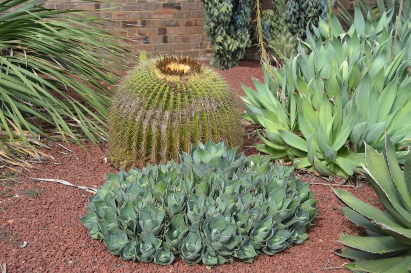  - Royal Botanic Gardens Sydney