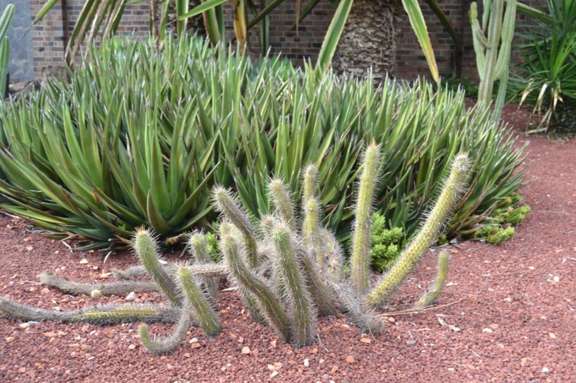  - Royal Botanic Gardens Sydney