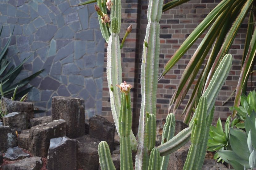  - Royal Botanic Gardens Sydney