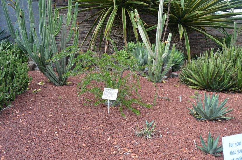  - Royal Botanic Gardens Sydney