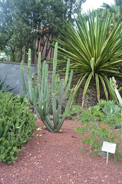  - Royal Botanic Gardens Sydney