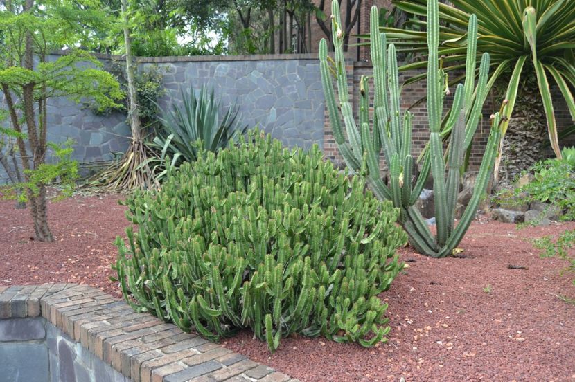  - Royal Botanic Gardens Sydney