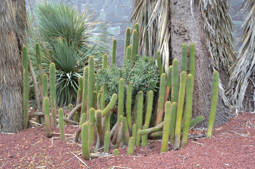  - Royal Botanic Gardens Sydney