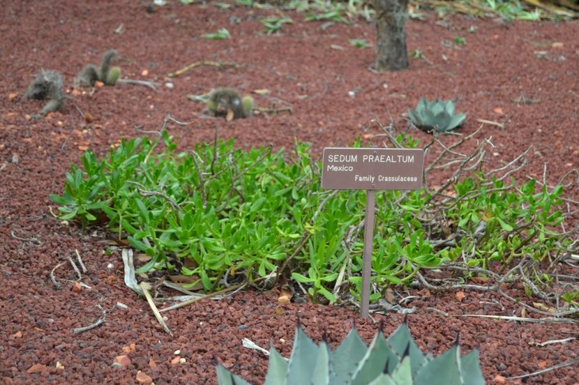  - Royal Botanic Gardens Sydney