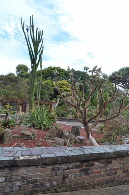  - Royal Botanic Gardens Sydney