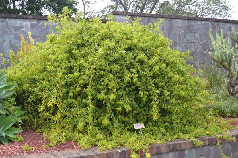  - Royal Botanic Gardens Sydney