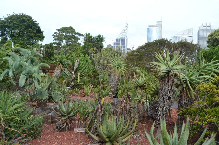  - Royal Botanic Gardens Sydney