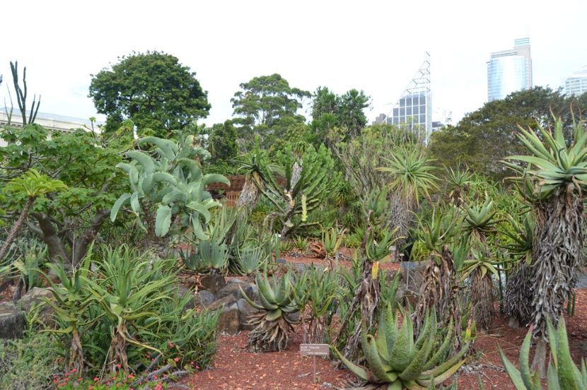  - Royal Botanic Gardens Sydney