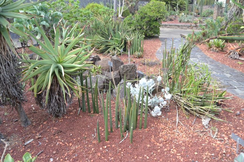  - Royal Botanic Gardens Sydney