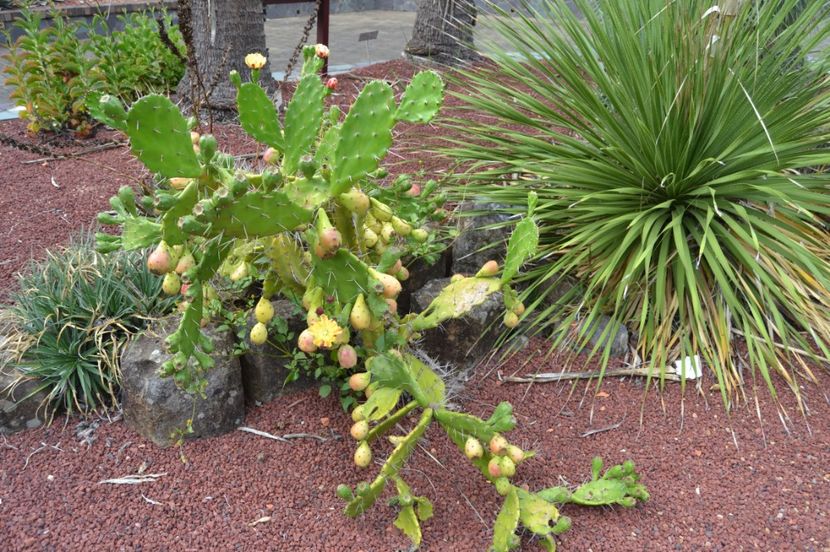  - Royal Botanic Gardens Sydney