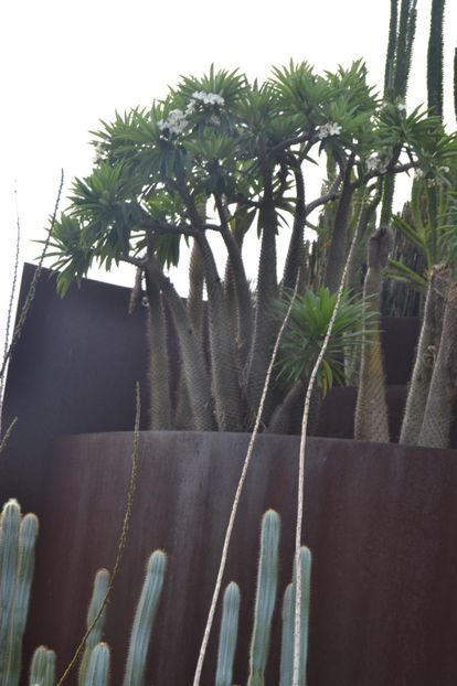  - Royal Botanic Gardens Sydney