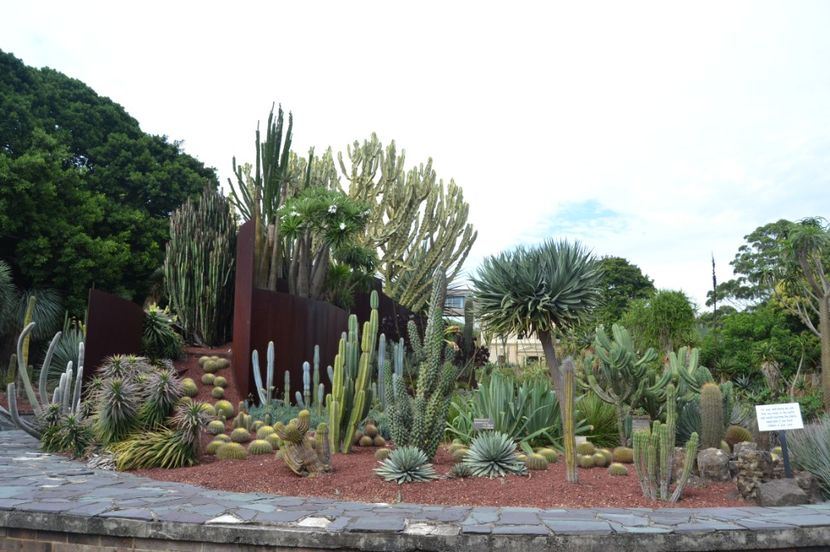  - Royal Botanic Gardens Sydney