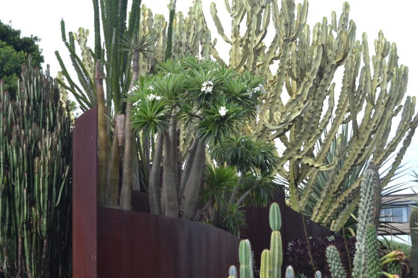  - Royal Botanic Gardens Sydney