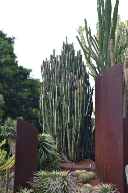  - Royal Botanic Gardens Sydney