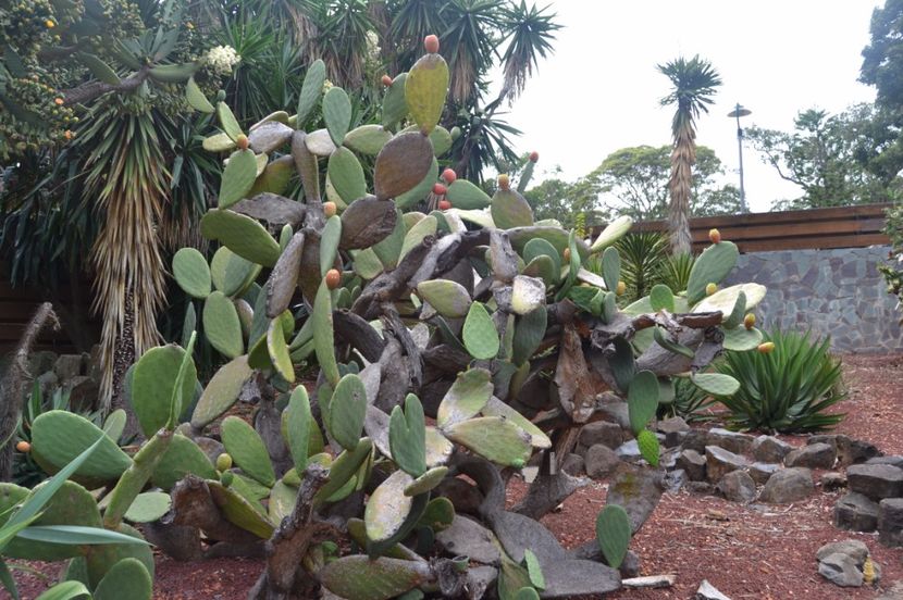  - Royal Botanic Gardens Sydney