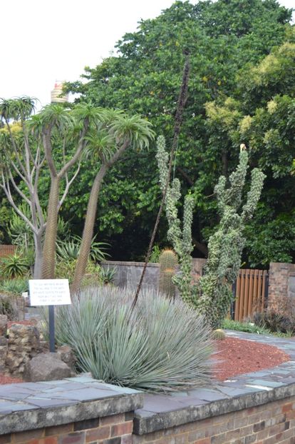  - Royal Botanic Gardens Sydney