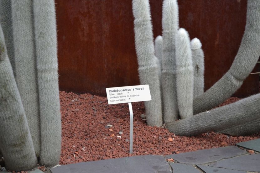  - Royal Botanic Gardens Sydney