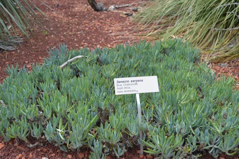  - Royal Botanic Gardens Sydney
