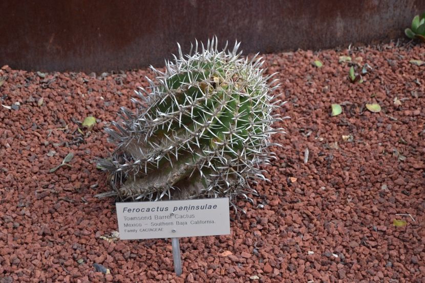  - Royal Botanic Gardens Sydney