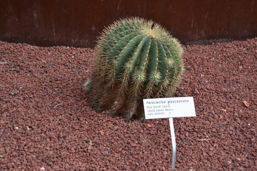  - Royal Botanic Gardens Sydney