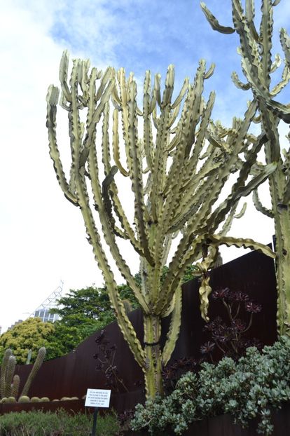  - Royal Botanic Gardens Sydney