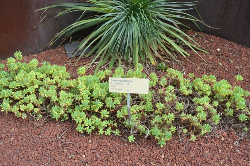  - Royal Botanic Gardens Sydney