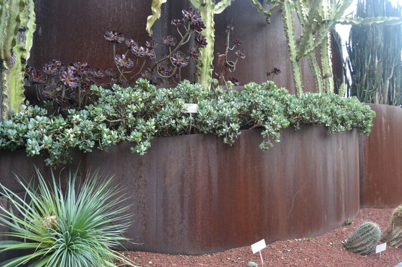  - Royal Botanic Gardens Sydney