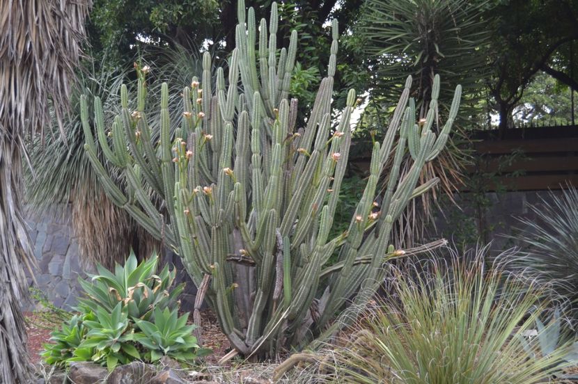  - Royal Botanic Gardens Sydney