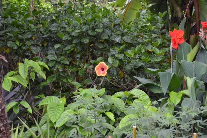  - Royal Botanic Gardens Sydney