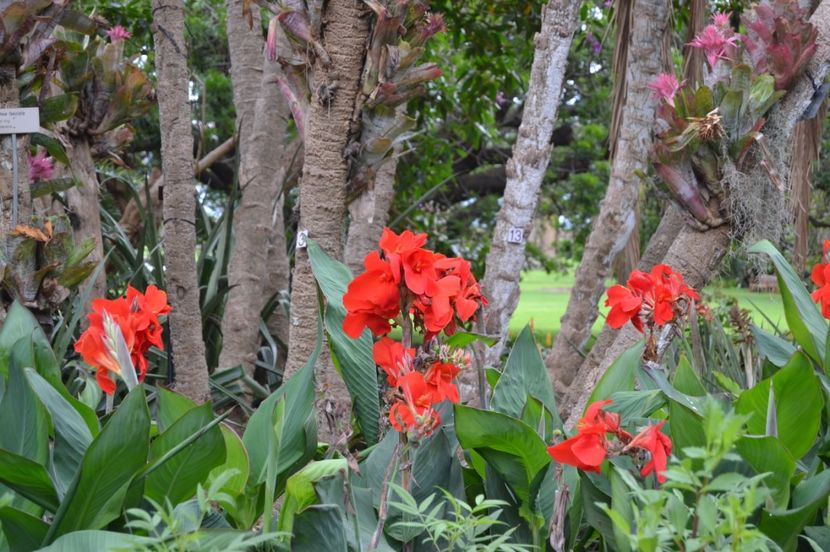  - Royal Botanic Gardens Sydney